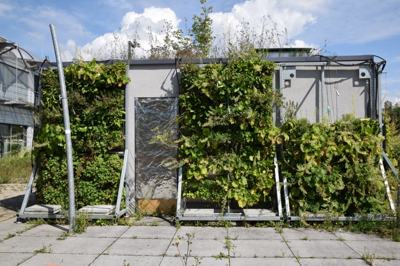 CAE Teststation Gebäudebegrünung